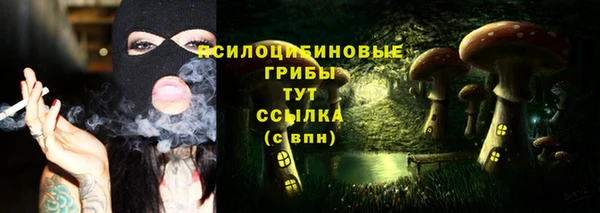 Альфа ПВП Гусь-Хрустальный