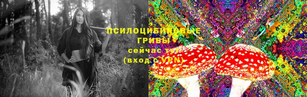 Альфа ПВП Гусь-Хрустальный