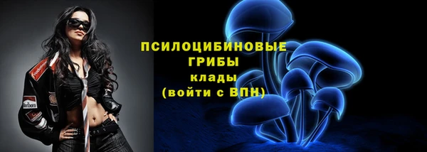 мет Горно-Алтайск