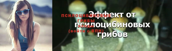 мескалин Гусев