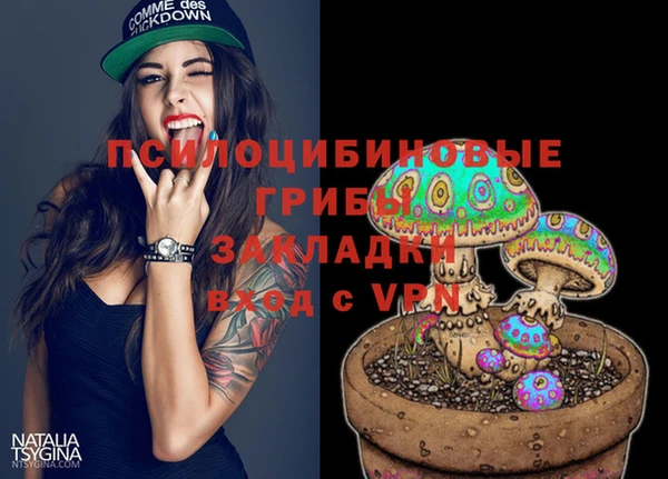 Альфа ПВП Гусь-Хрустальный
