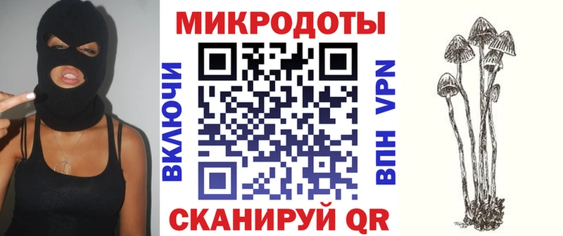 где можно купить   Тихорецк  Псилоцибиновые грибы GOLDEN TEACHER 